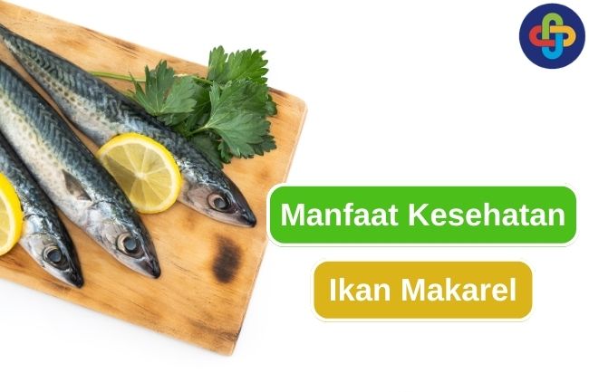 9 Alasan Kenapa Memakan Ikan Makarel Baik untuk Tubuhmu